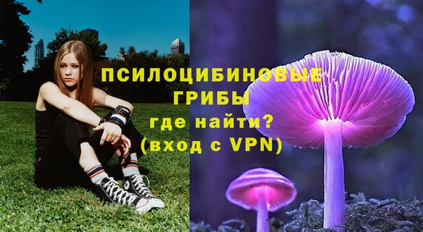 герыч Вяземский